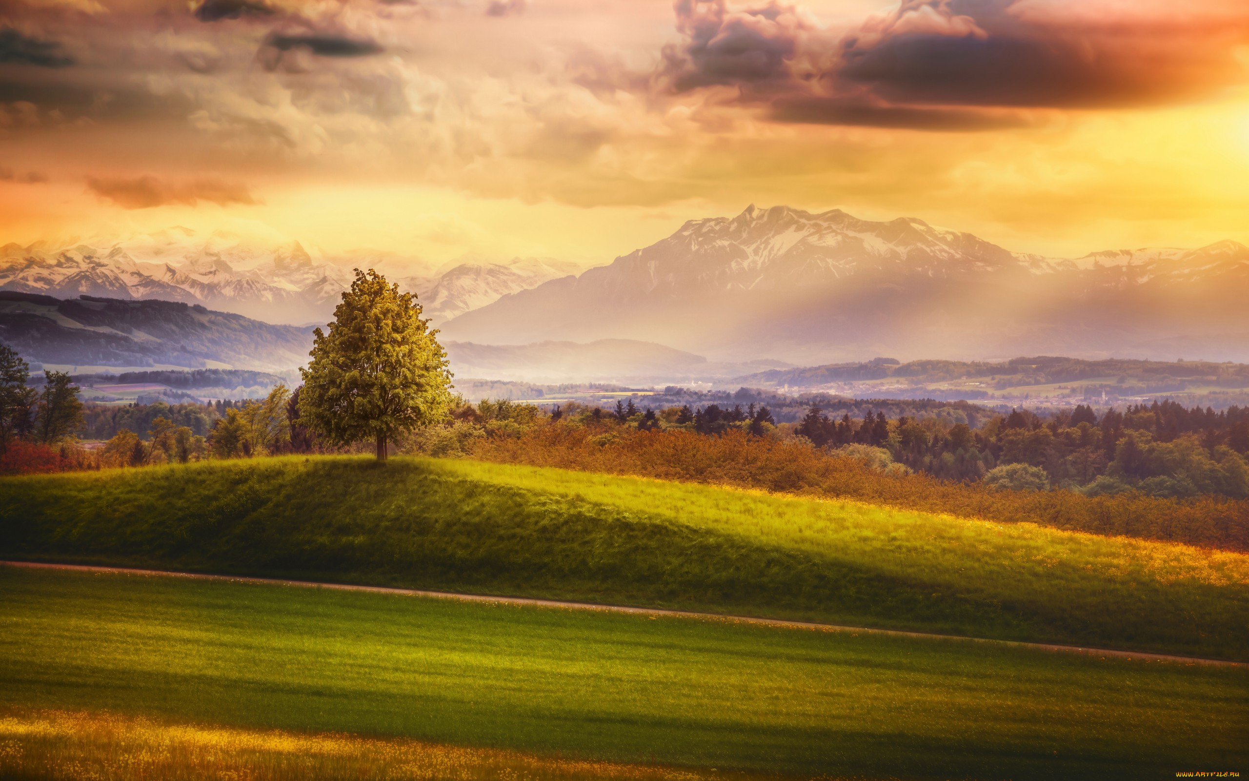 , , , , , , somewhere, , , switzerland